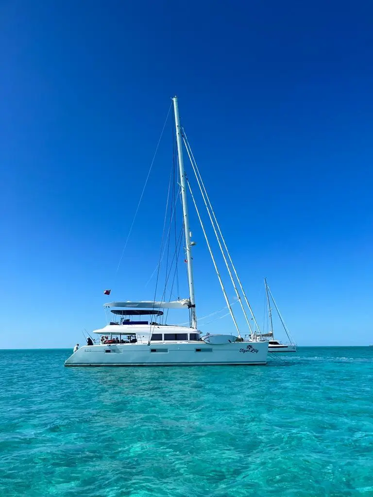 2015 lagoon 620 tiger lily nassau for sale