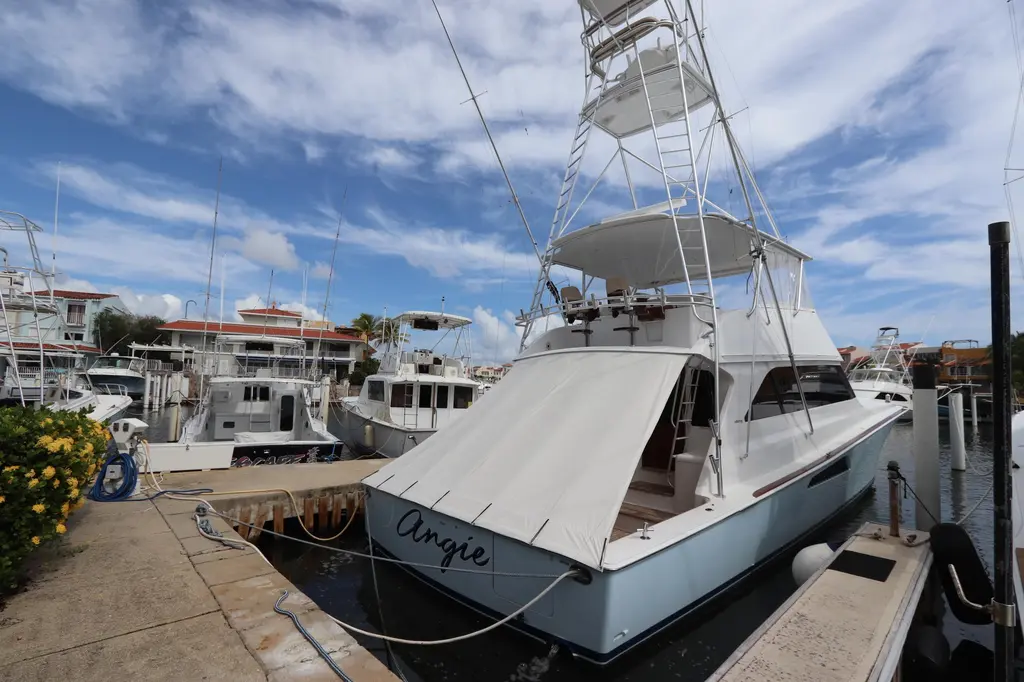 2000 viking 65 angie palmas del mar for sale