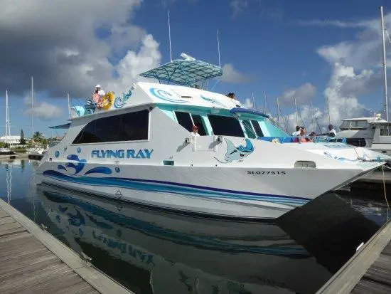 Flying Ray 2000 Custom Offshore Passenger Power Catamaran Yacht For Sale in St Lucia Flying Ray 2000 Custom Offshore Passenger Power Catamaran Yacht For Sale in St Lucia