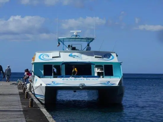 Flying Ray 2000 Custom Offshore Passenger Power Catamaran Yacht For Sale in St Lucia Flying Ray 2000 Custom Offshore Passenger Power Catamaran Yacht For Sale in St Lucia