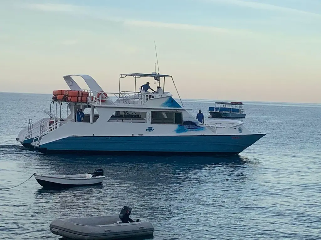 Sting Ray II 1998 Custom Power Cat Yacht For Sale in Dominica Sting Ray II 1998 Custom Power Cat Yacht For Sale in Dominica