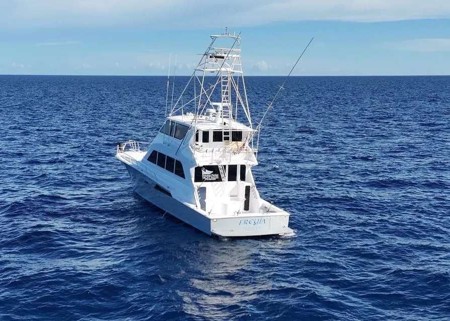 Frejya 1997 Viking Enclosed Bridge Yacht For Sale in Stuart FL Frejya 1997 Viking Enclosed Bridge Yacht For Sale in Stuart FL