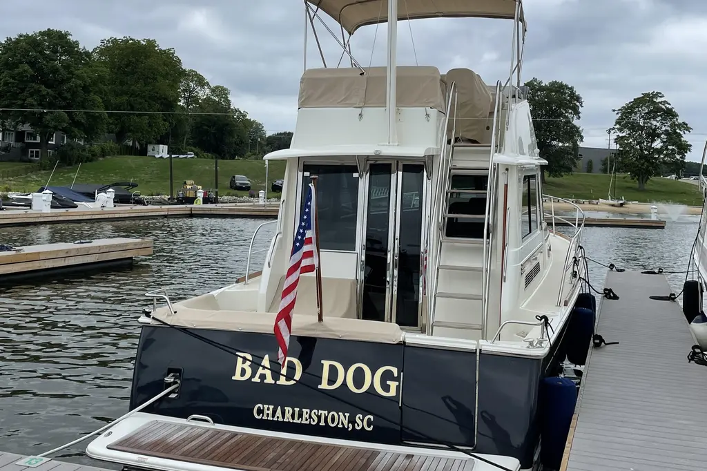 Bad Dog 2021 Sabre 42 Fly Bridge Yacht For Sale in Holland MI Bad Dog 2021 Sabre 42 Fly Bridge Yacht For Sale in Holland MI