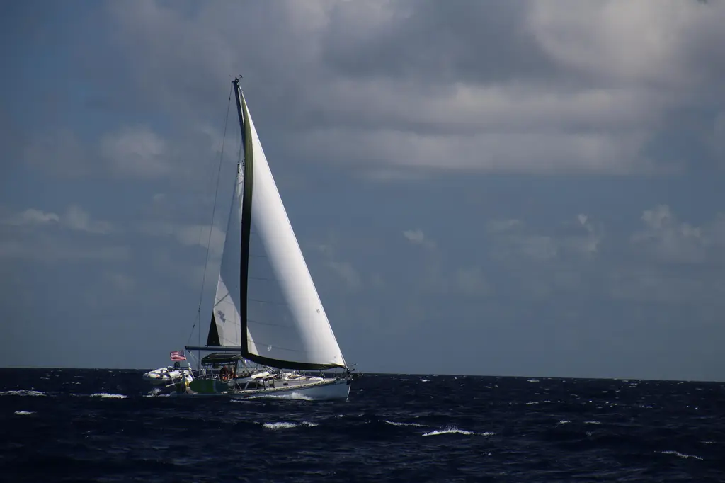 Hylander 2021 Hylas H46 Yacht For Sale in East End Hylander 2021 Hylas H46 Yacht For Sale in East End