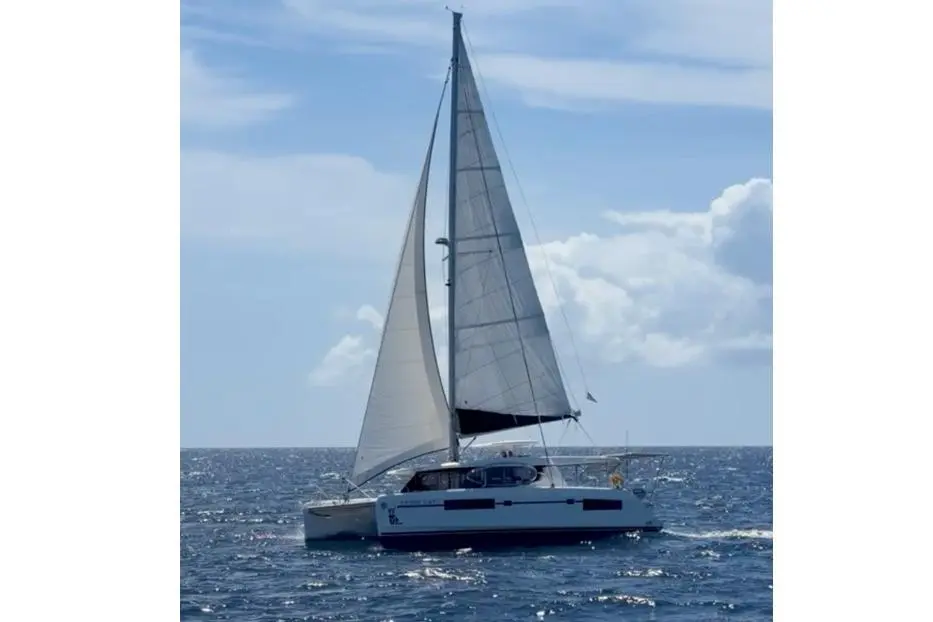 Snow Cat 2019 Leopard 45 Yacht For Sale in Saint George 