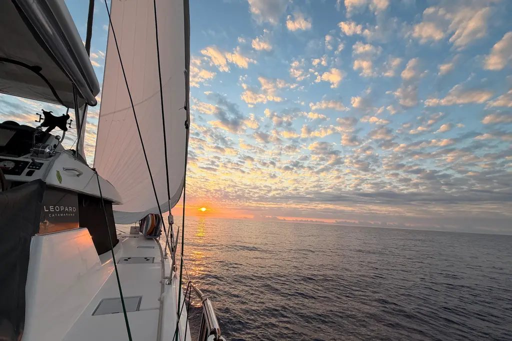 Archomai 2023 Leopard 50 Yacht For Sale in Fort Lauderdale FL Archomai 2023 Leopard 50 Yacht For Sale in Fort Lauderdale FL