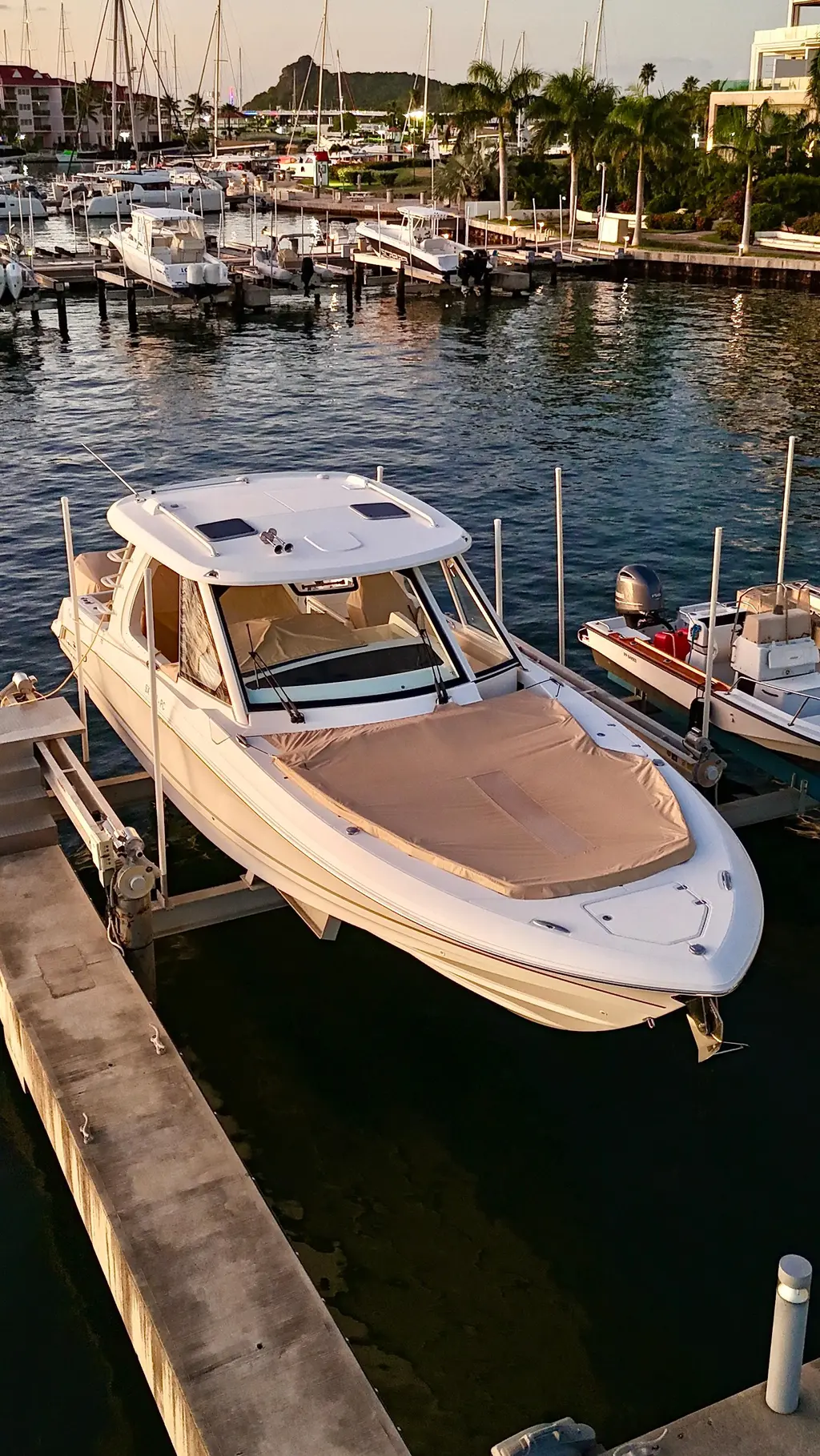 2020 Boston Whaler 380 Realm Yacht For Sale in marigot 2020 Boston Whaler 380 Realm Yacht For Sale in marigot